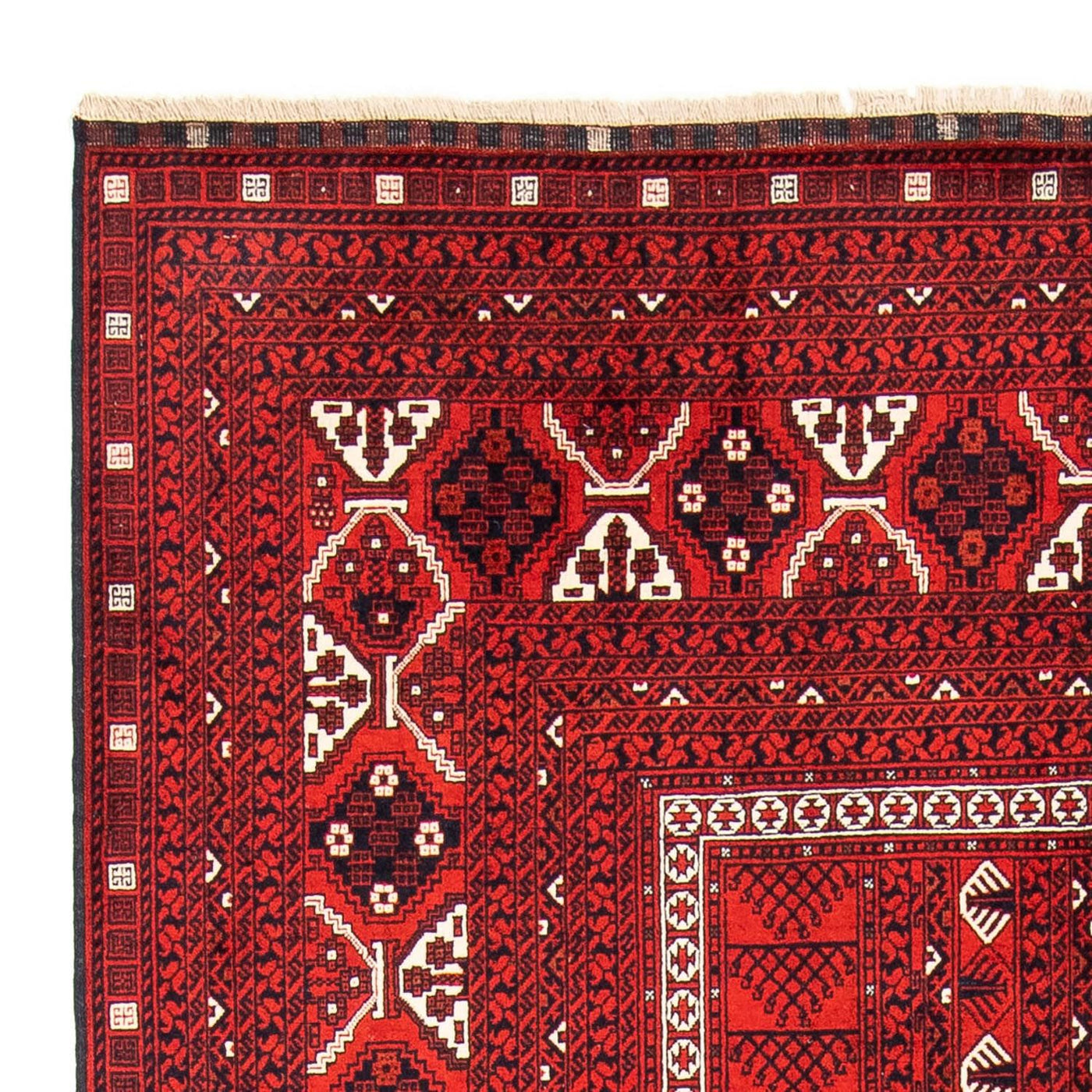 Turkaman Rug 243x160cm - Persian Rugs