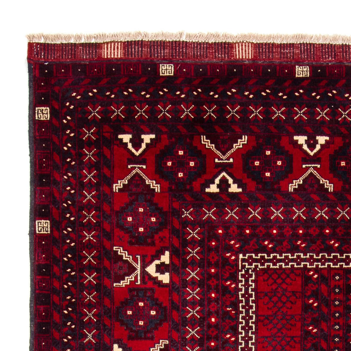 Turkaman Rug 156x245cm - Persian Rugs