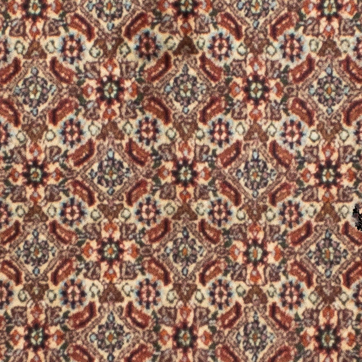 Runner Perser Rug - Classic - 246 x 80 cm - beige