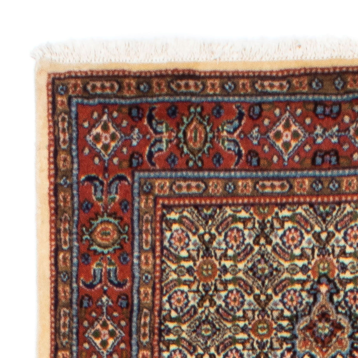 Moud Rug 81x290cm - Persian Rugs