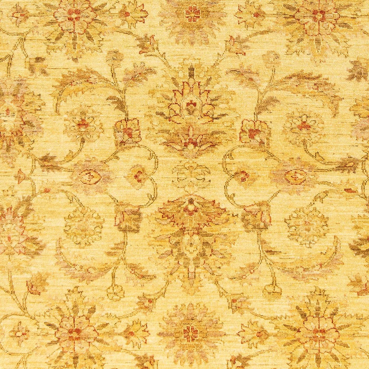 Ziegler Rug - 259 x 196 cm - beige