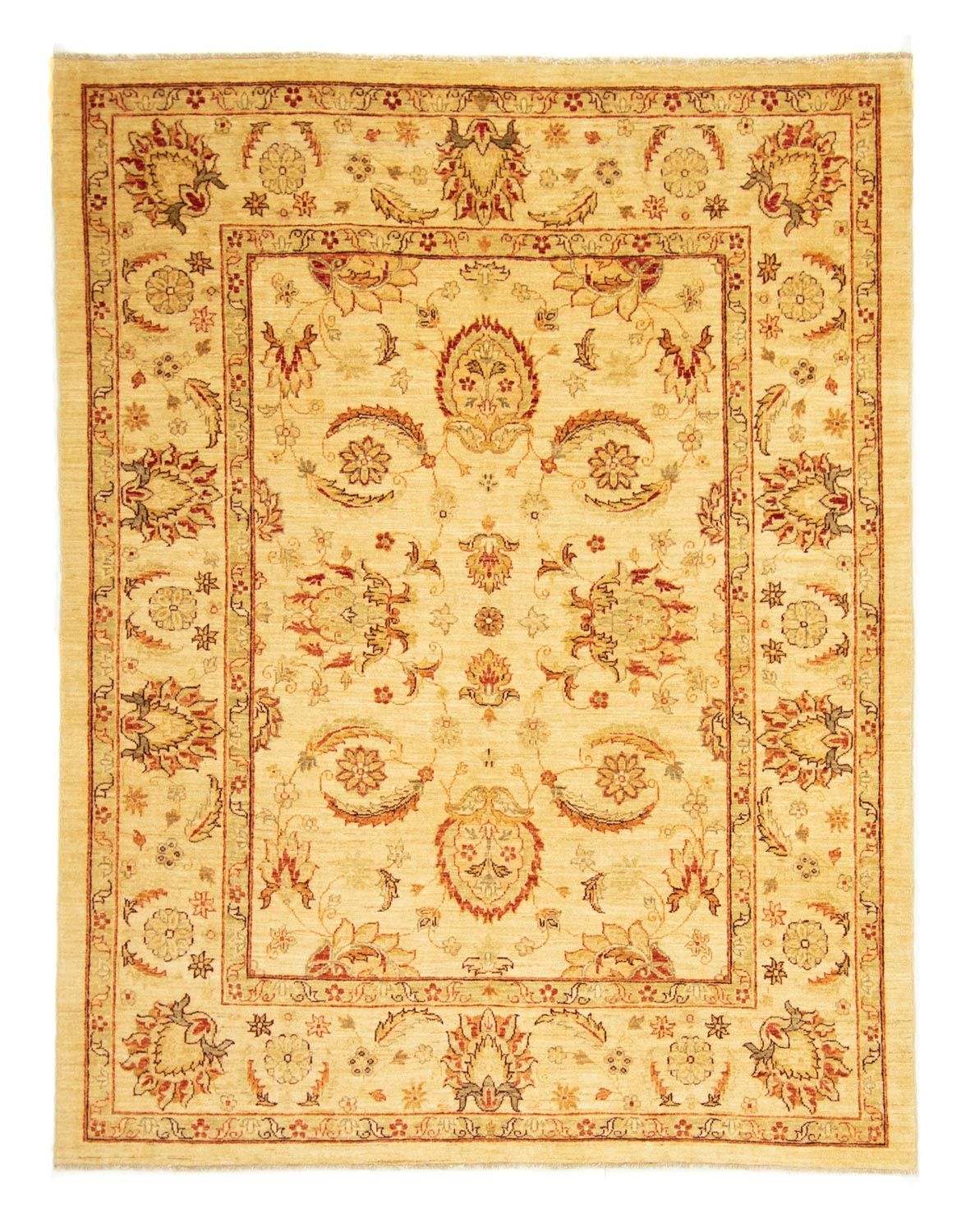 Ziegler Rug - 212 x 173 cm - gold