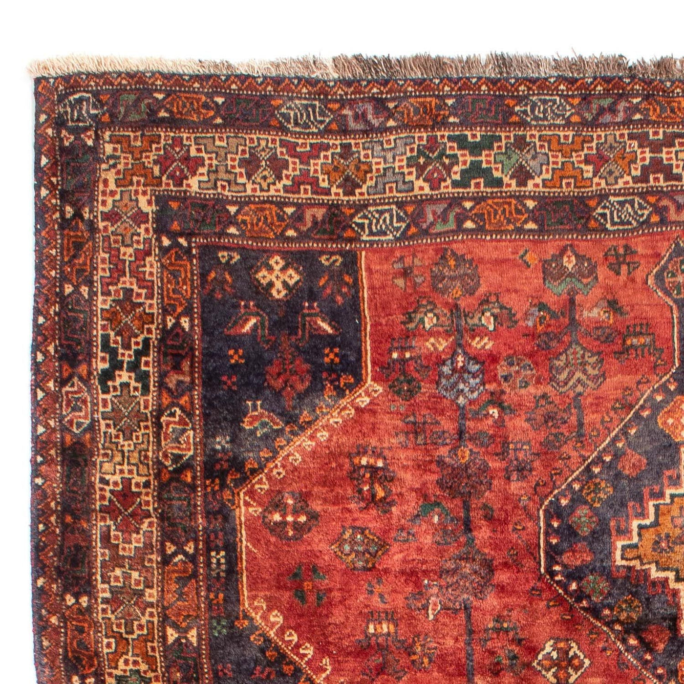 Shiraz Rug 306x212cm - Persian Rugs