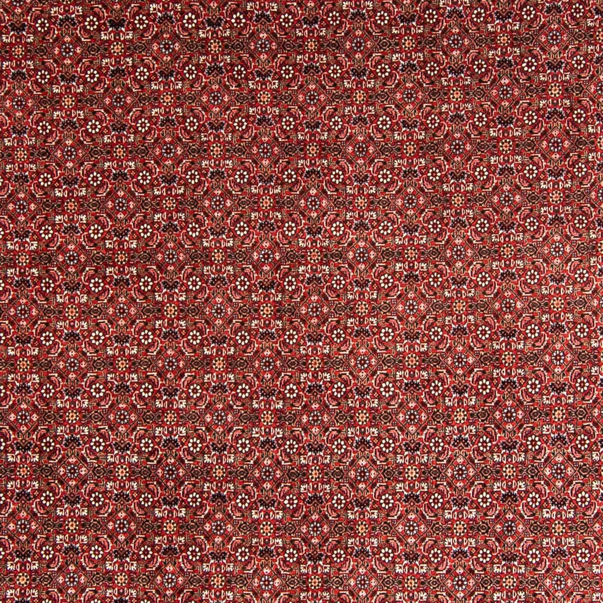 Perser Rug - Bidjar - 330 x 246 cm - red