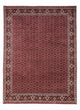 Bidjar - Takab Rug 349x250cm - Persian Rugs