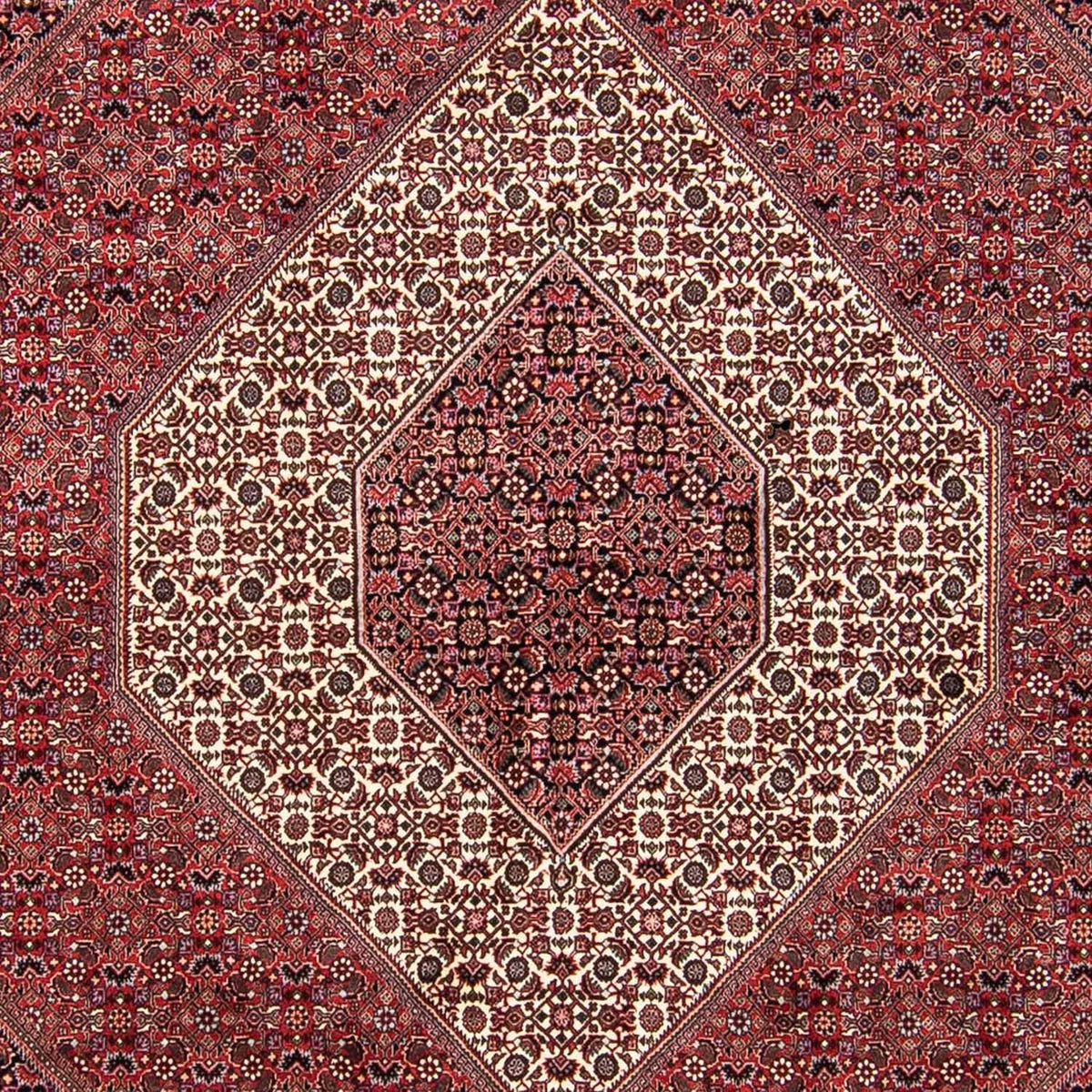 Perser Rug - Bidjar - 293 x 248 cm - light red