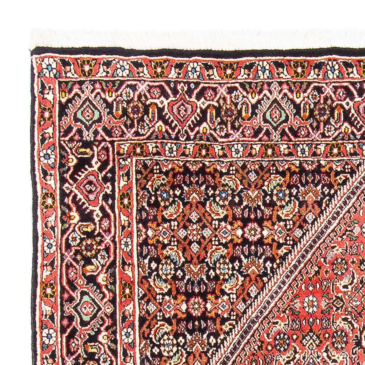 Bidjar Rug 108x160cm - Persian Rugs