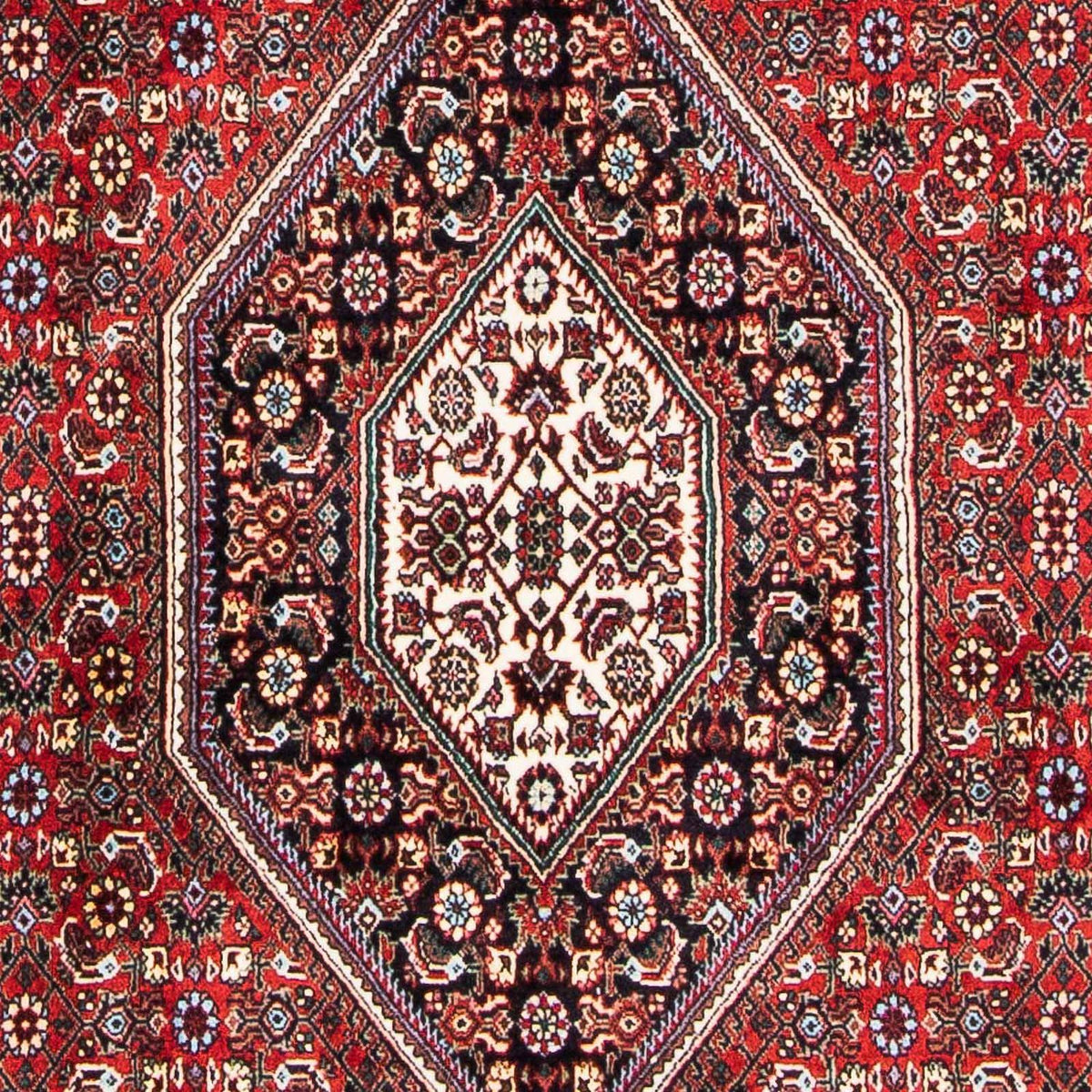 Perser Rug - Bidjar - 178 x 110 cm - red