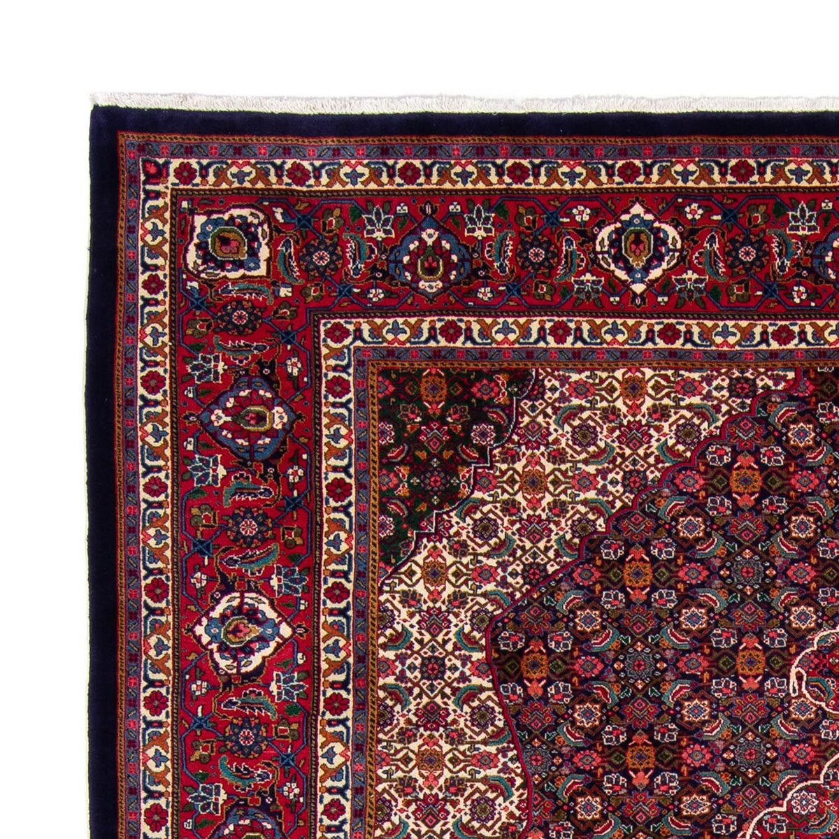 Sarouk Rug 248x310cm - Persian Rugs