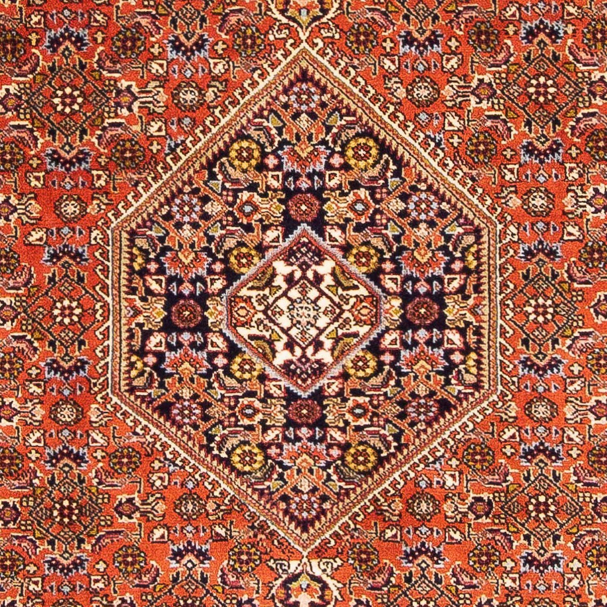 Perser Rug - Bidjar - 162 x 106 cm - rose