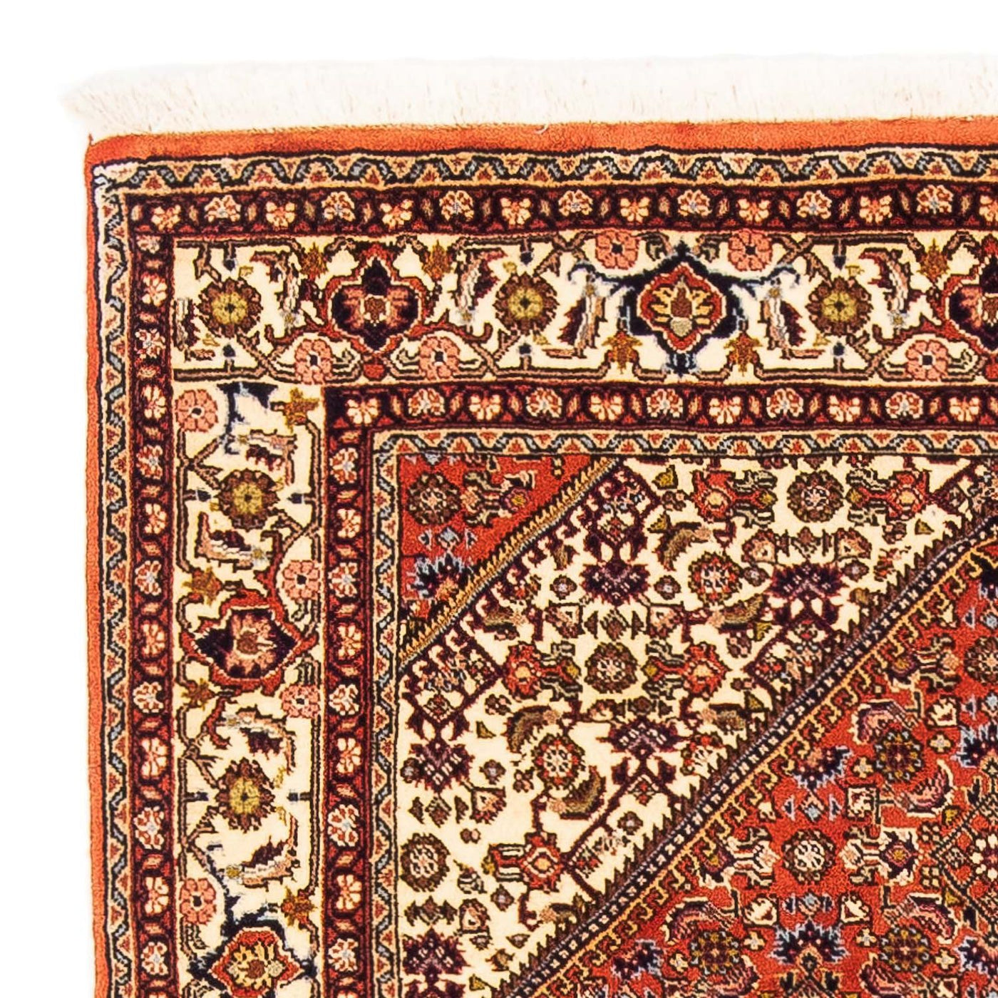 Bidjar Rug 162x106cm - Persian Rugs