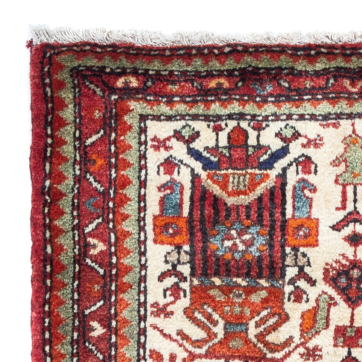Tuserkan Rug 85x133cm - Persian Rugs