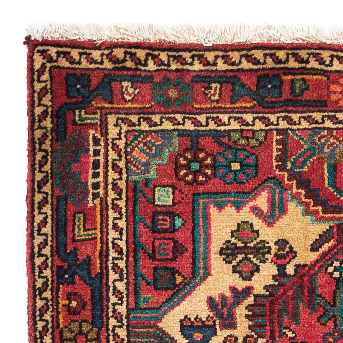 Tuserkan Rug 88x125cm - Persian Rugs