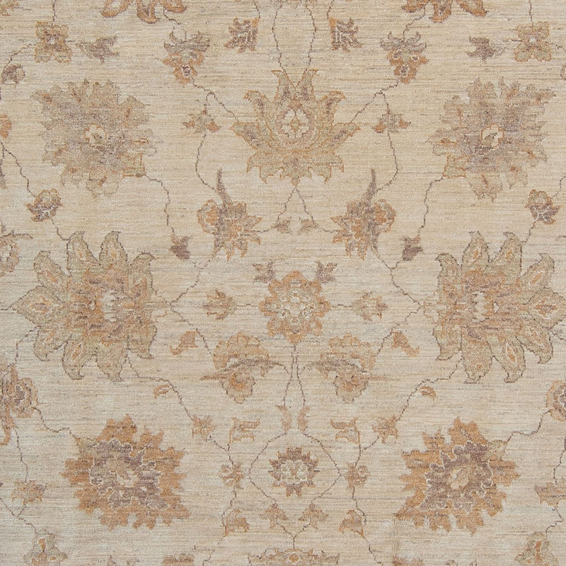 Ziegler Rug - 337 x 249 cm - light beige