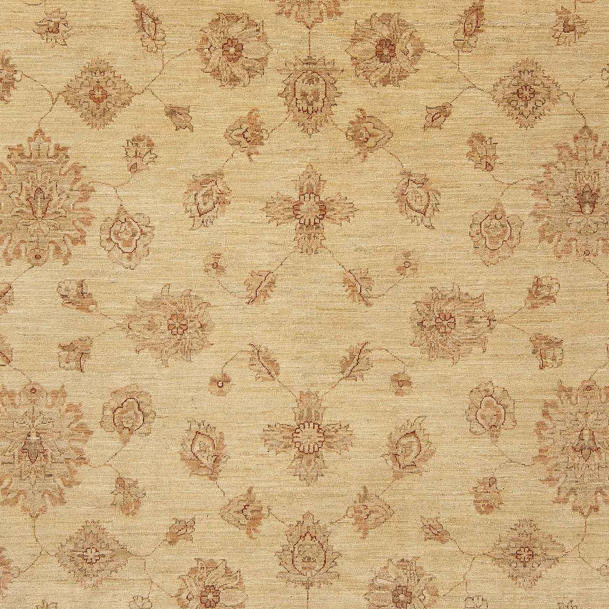 Ziegler Rug - 306 x 250 cm - light brown