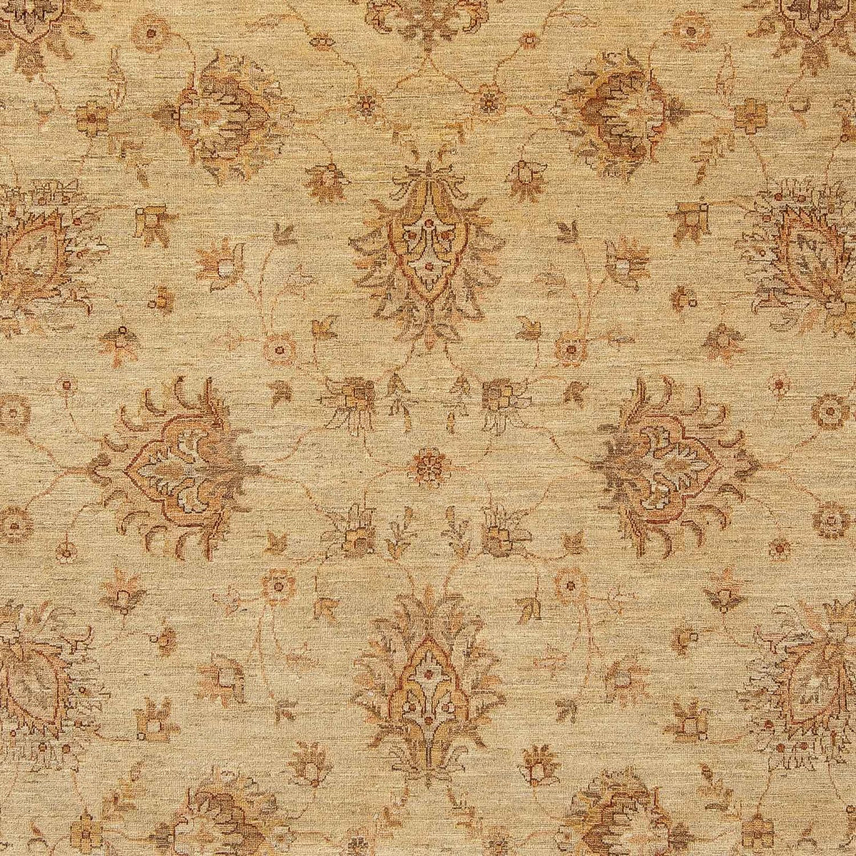 Ziegler Rug - 293 x 244 cm - light brown