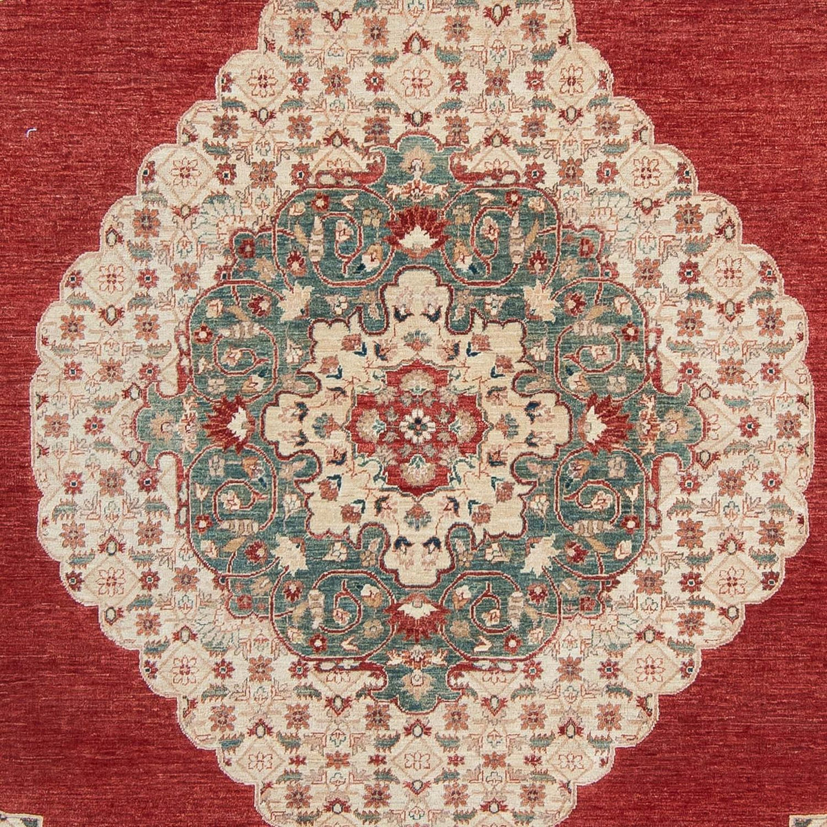 Ziegler Rug - 304 x 240 cm - dark red