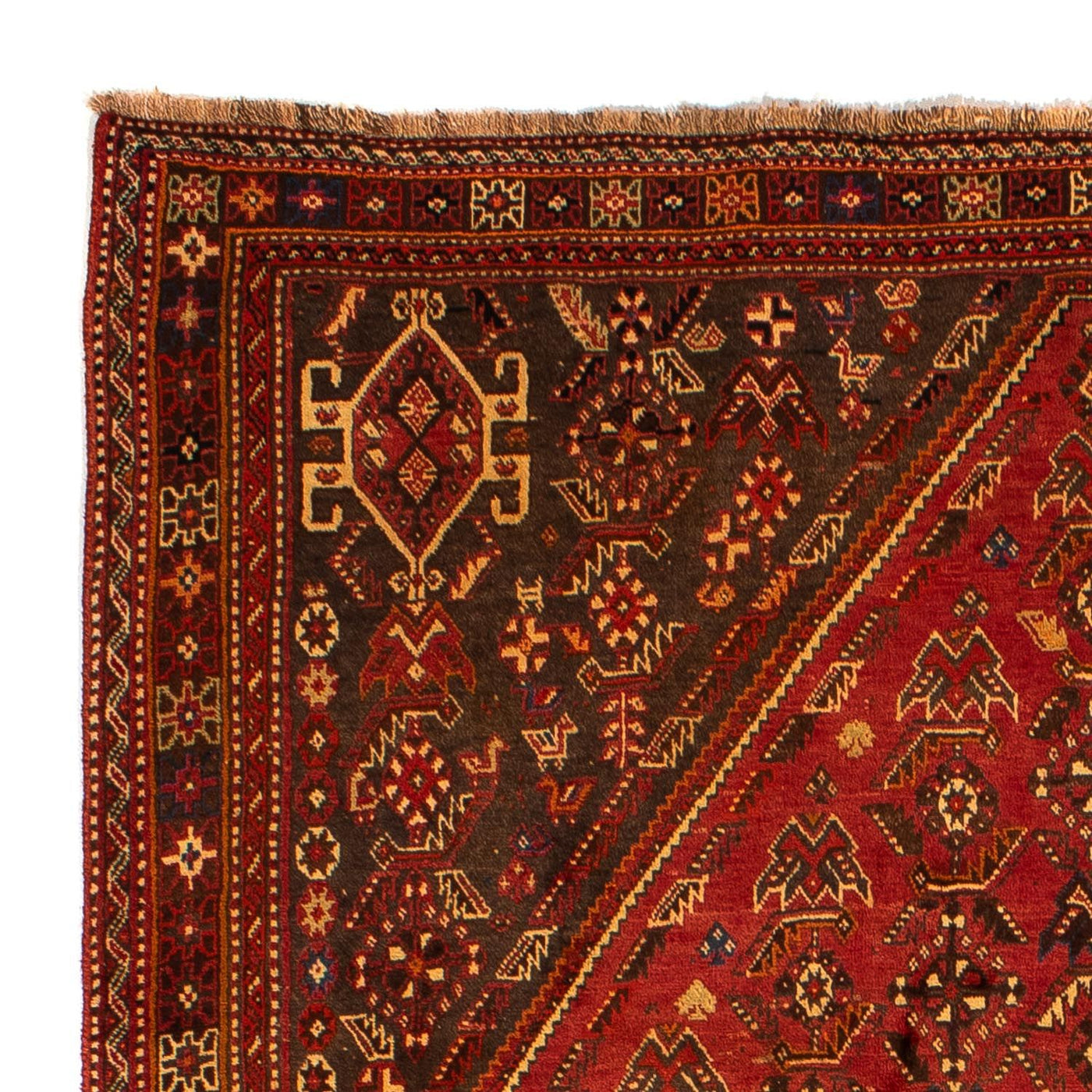 Shiraz Rug 277x181cm - Persian Rugs