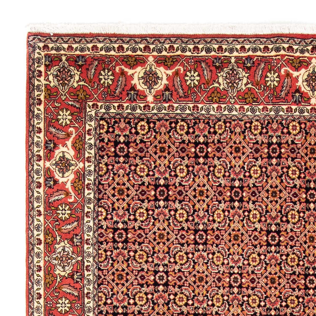Bidjar Rug 171x235cm - Persian Rugs