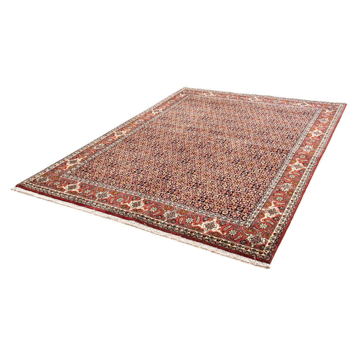 Perser Rug - Bidjar - 235 x 171 cm - light red