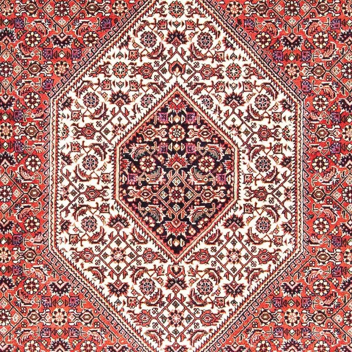 Perser Rug - Bidjar - 170 x 110 cm - red