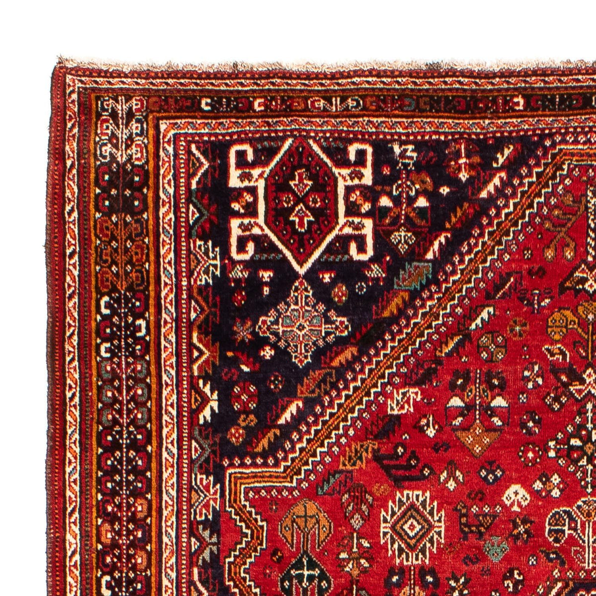 Shiraz Rug 189x298cm - Persian Rugs