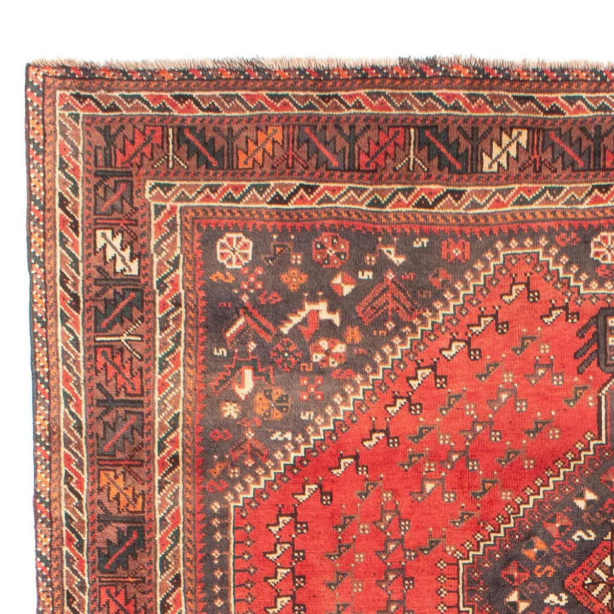 Shiraz Rug 203x279cm - Persian Rugs