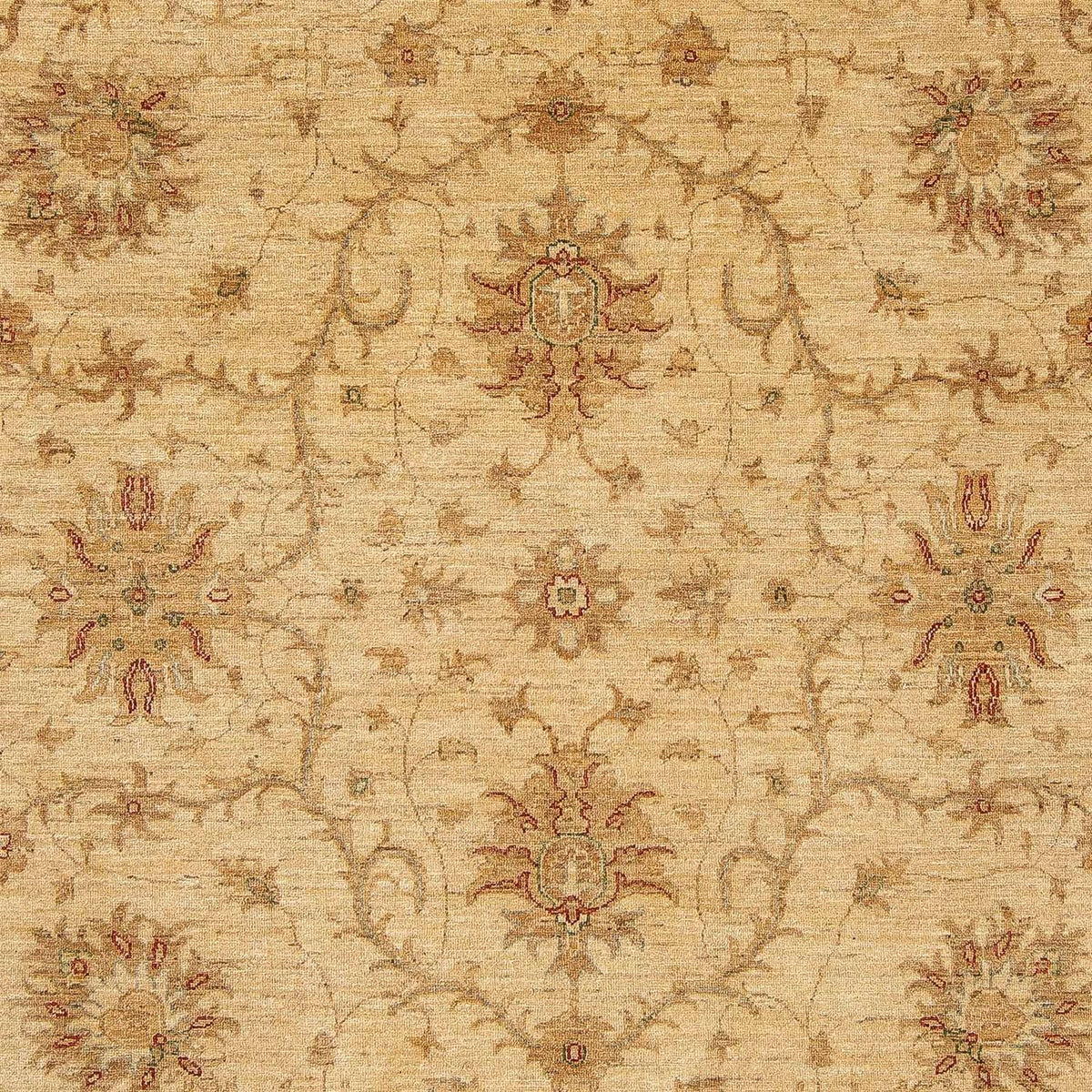 Ziegler Rug - 296 x 245 cm - light brown