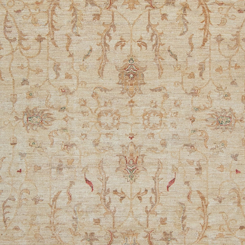 Ziegler Rug - 347 x 245 cm - light beige