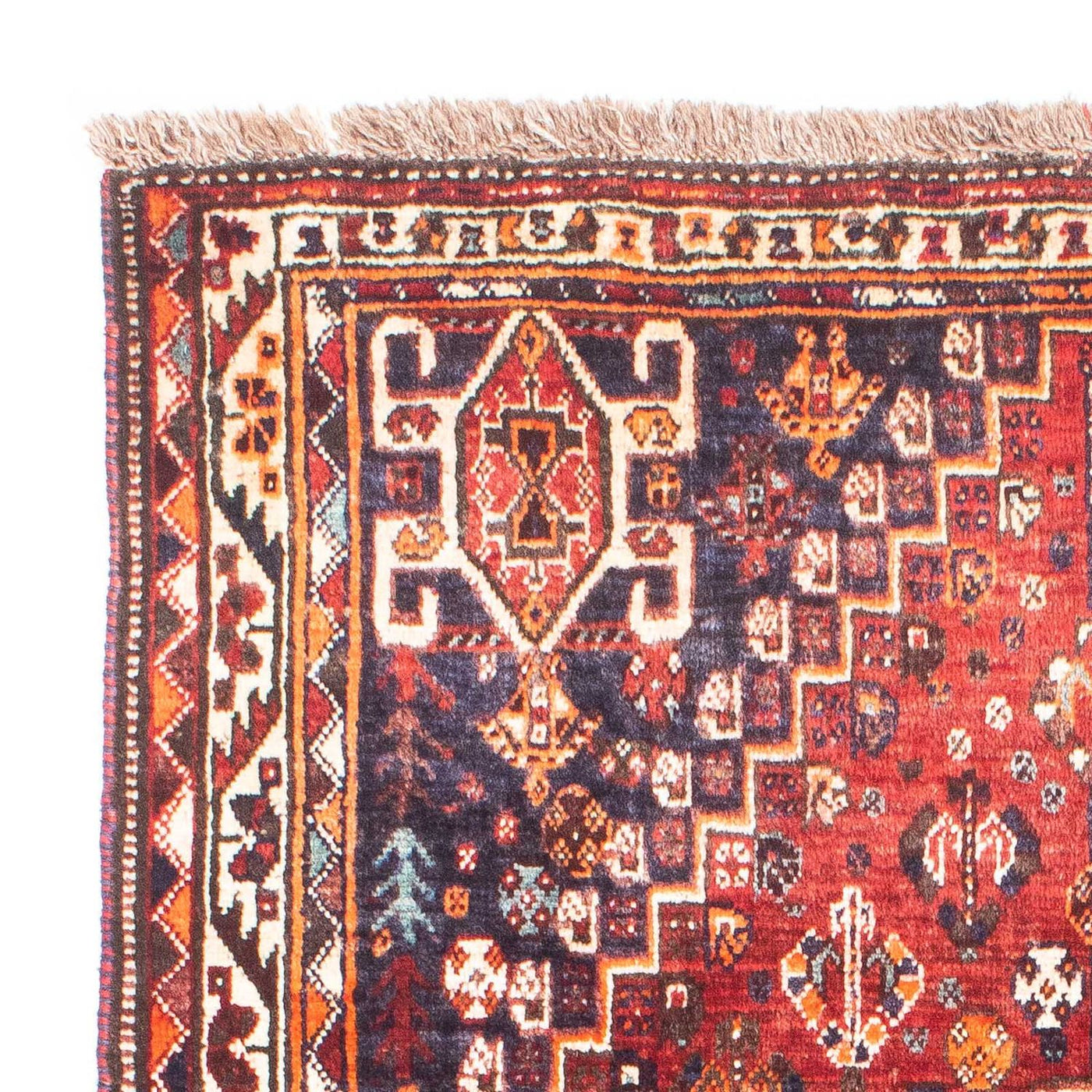 Qashqai Rug 160x119cm - Persian Rugs
