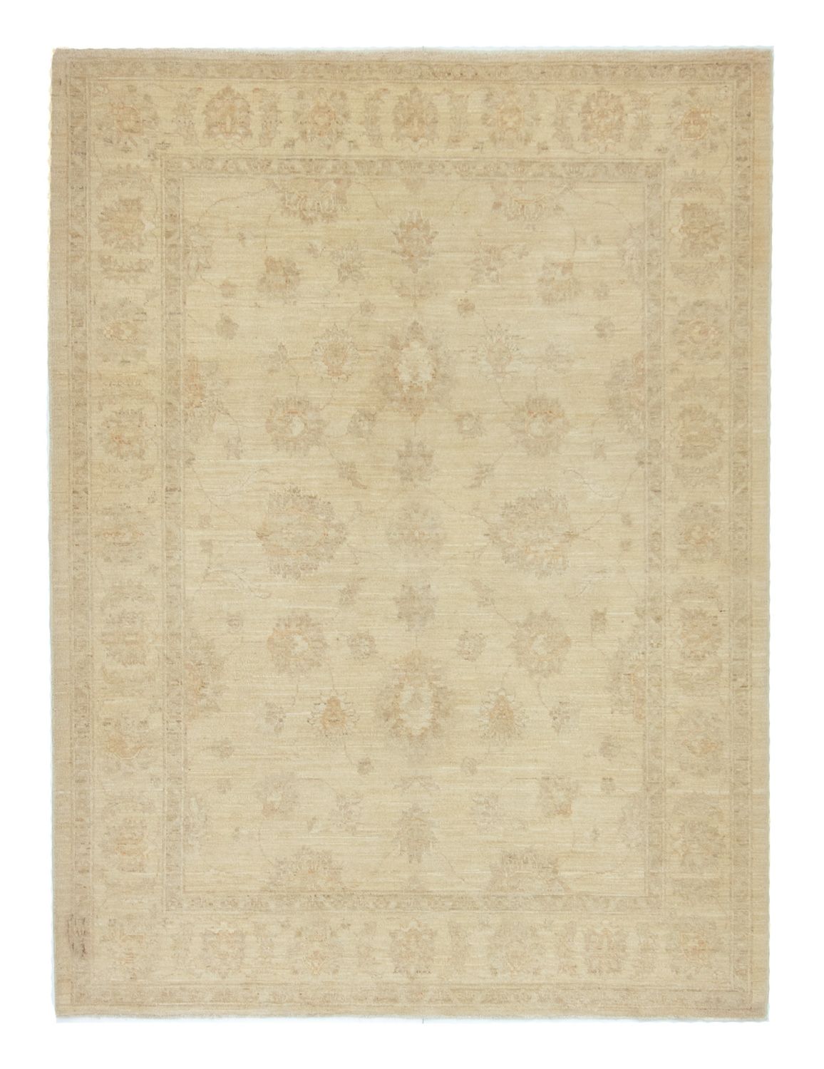 Ziegler Rug square  - 170 x 153 cm - beige