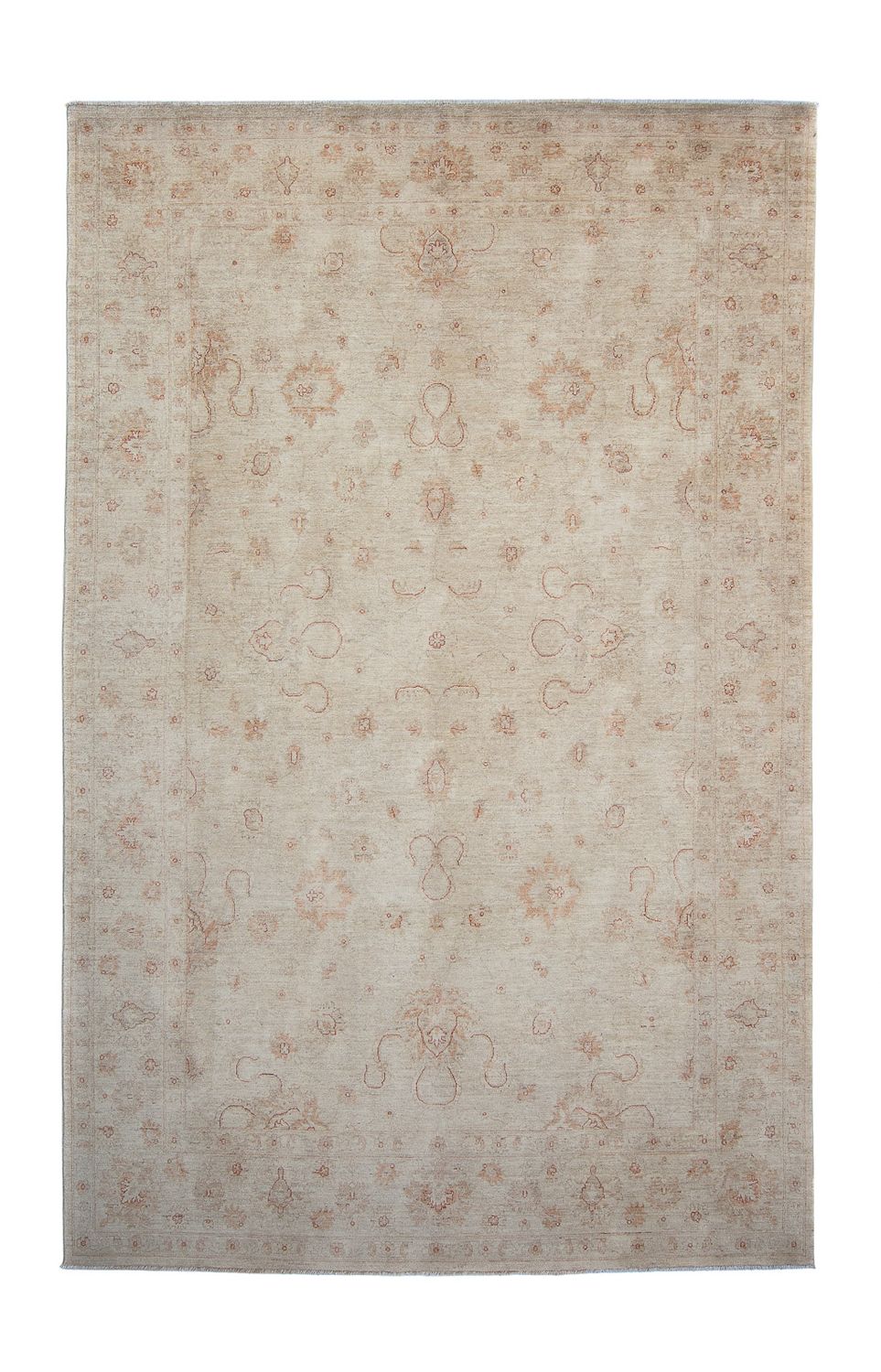Ziegler Rug - 382 x 237 cm - beige