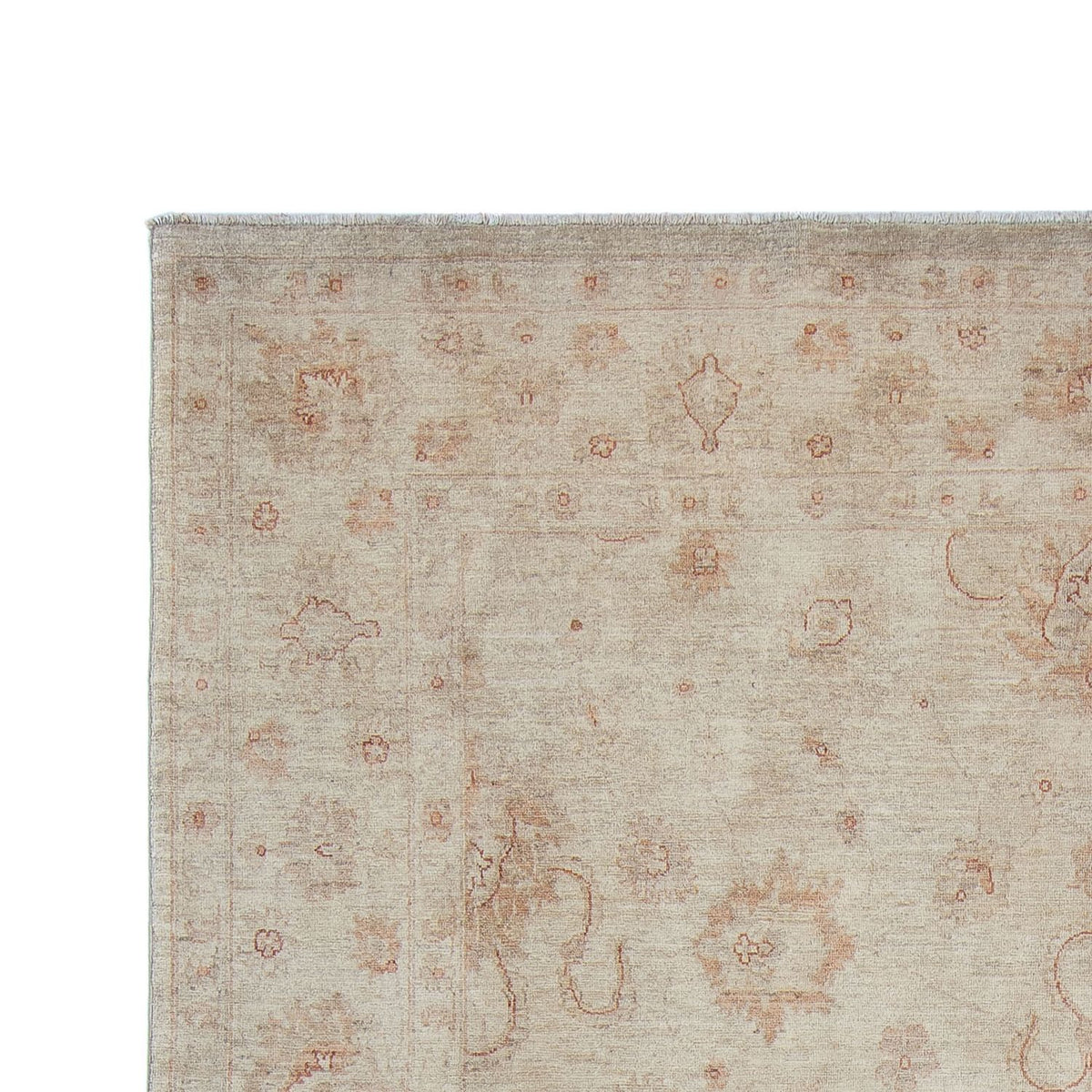 Ziegler Rug - 382 x 237 cm - beige