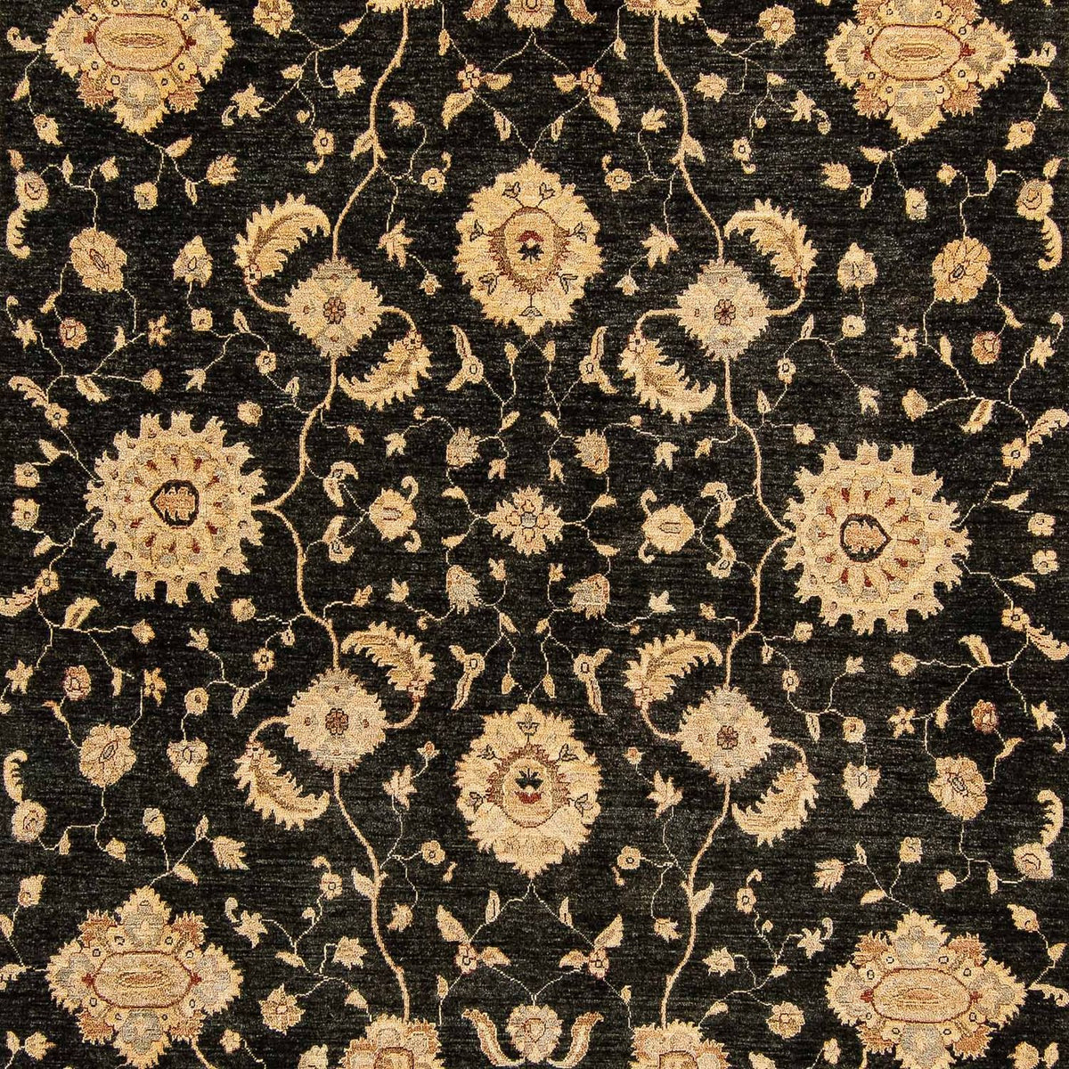 Ziegler Rug - 424 x 293 cm - dark blue