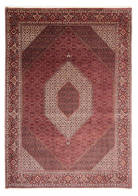 Perser Rug - Bidjar - 344 x 254 cm - light red
