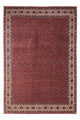 Bidjar - Takab Rug 251x343cm - Persian Rugs