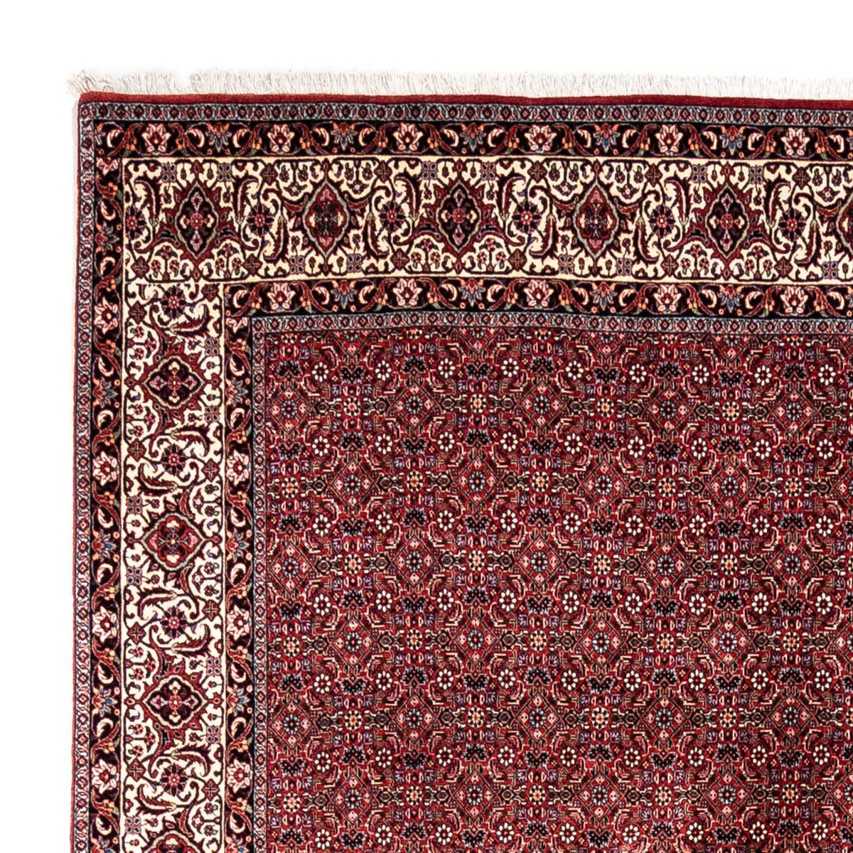 Bidjar - Takab Rug 251x343cm - Persian Rugs