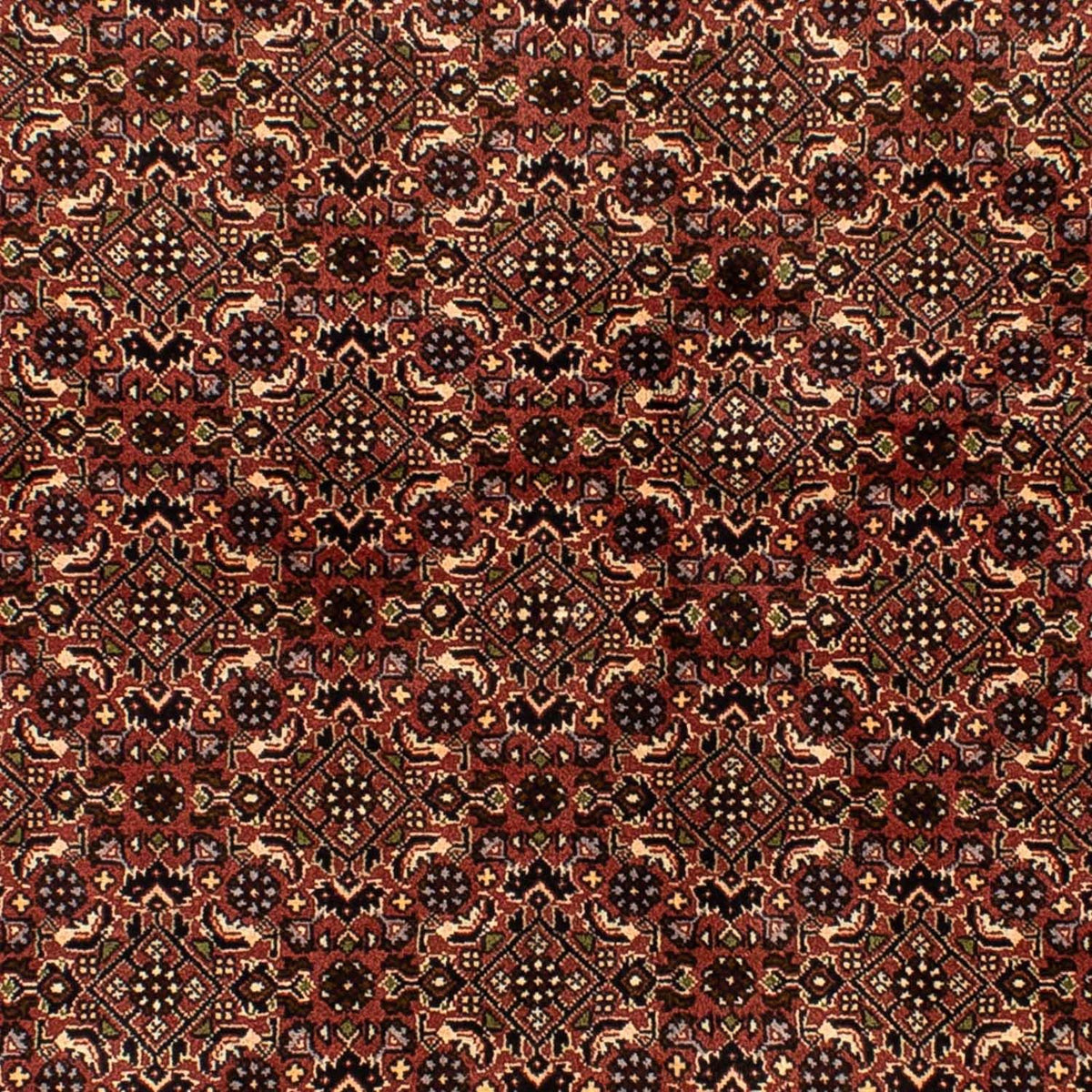 Perser Rug - Bidjar - 214 x 136 cm - brown