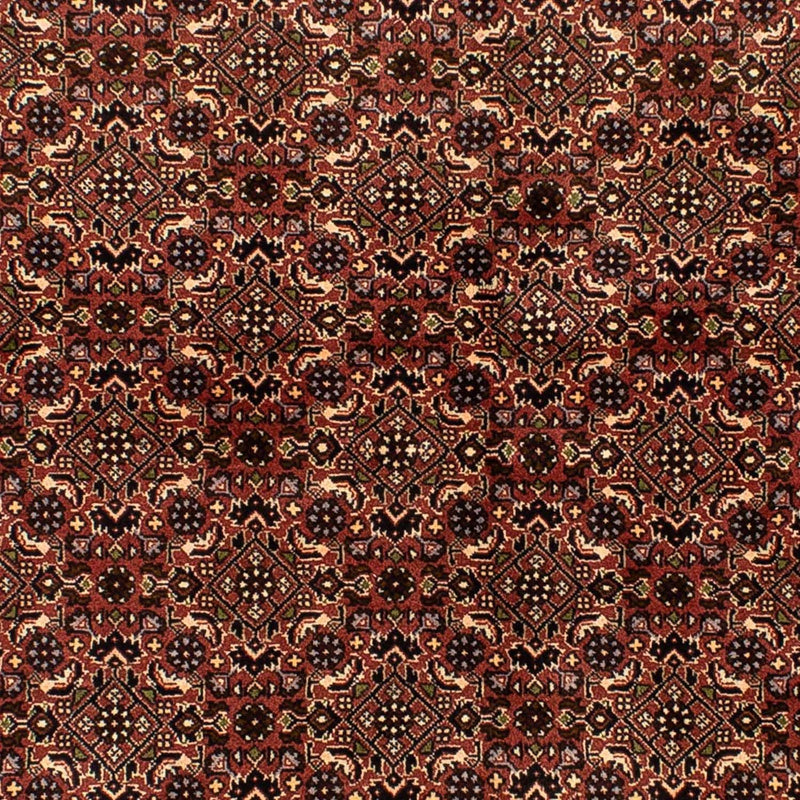 Perser Rug - Bidjar - 214 x 136 cm - brown