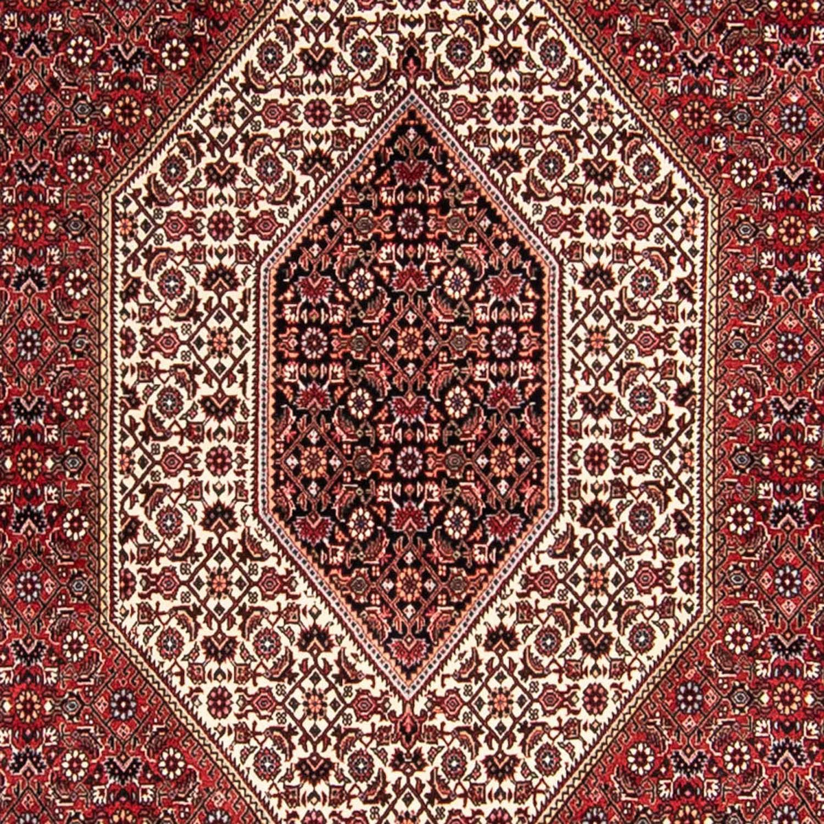 Perser Rug - Bidjar - 300 x 252 cm - light red