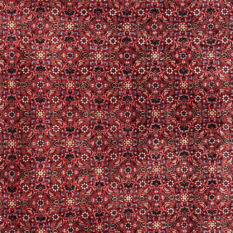 Perser Rug - Bidjar - 338 x 250 cm - red