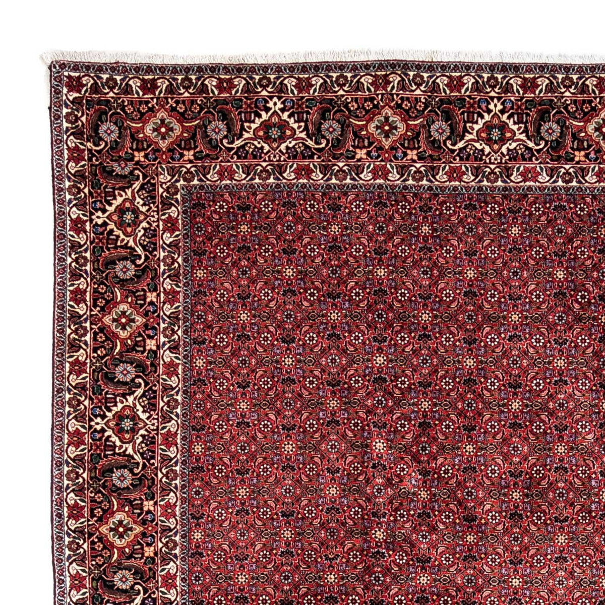 Perser Rug - Bidjar - 338 x 250 cm - red