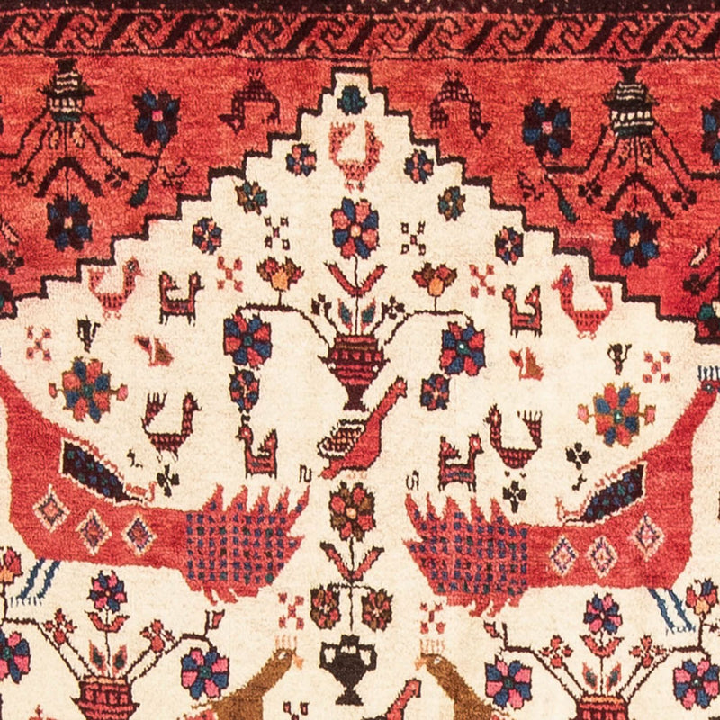 Belutsch Rug - 173 x 109 cm - red