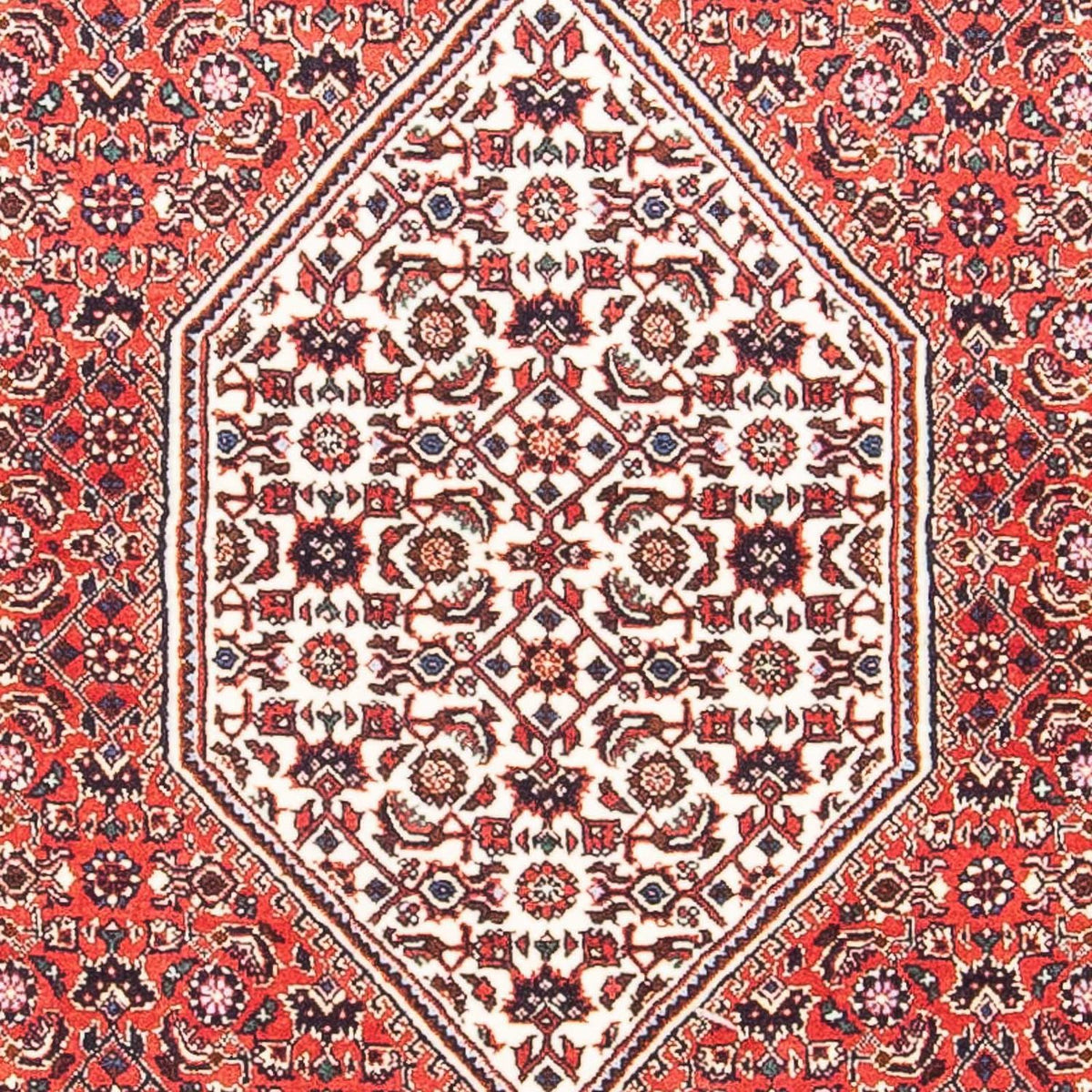 Perser Rug - Bidjar - 151 x 86 cm - light red