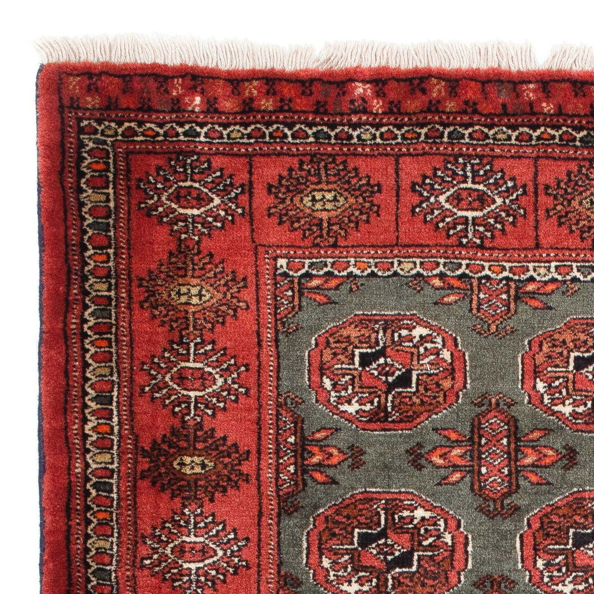 Belutsch Rug 97x158cm - Oriental Rug