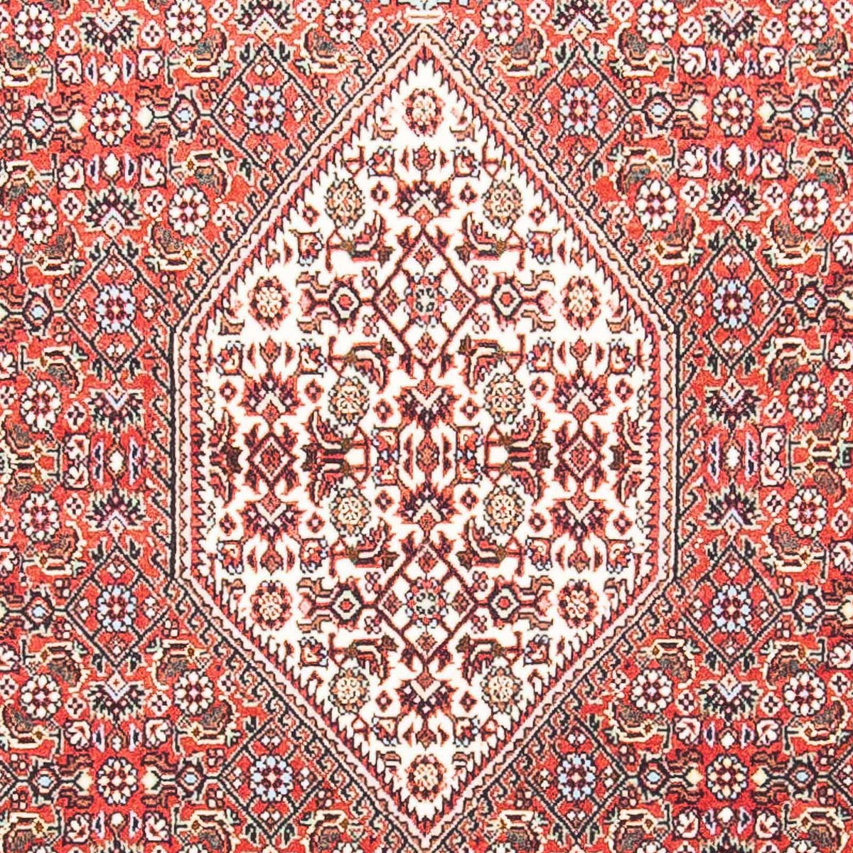 Perser Rug - Bidjar - 156 x 88 cm - salmon