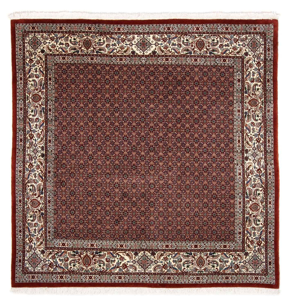 Perser Rug - Classic square  - 197 x 196 cm - dark red