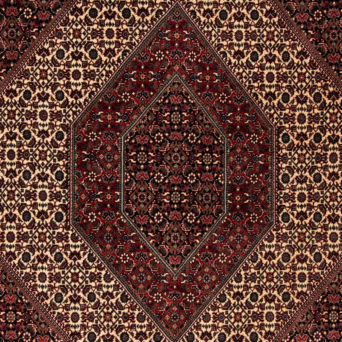 Perser Rug - Bidjar - 248 x 202 cm - dark red