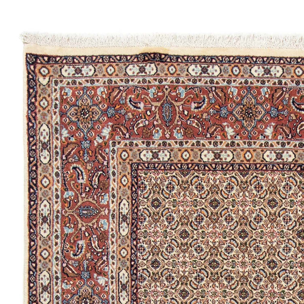 Moud Rug 157x237cm - Persian Rugs