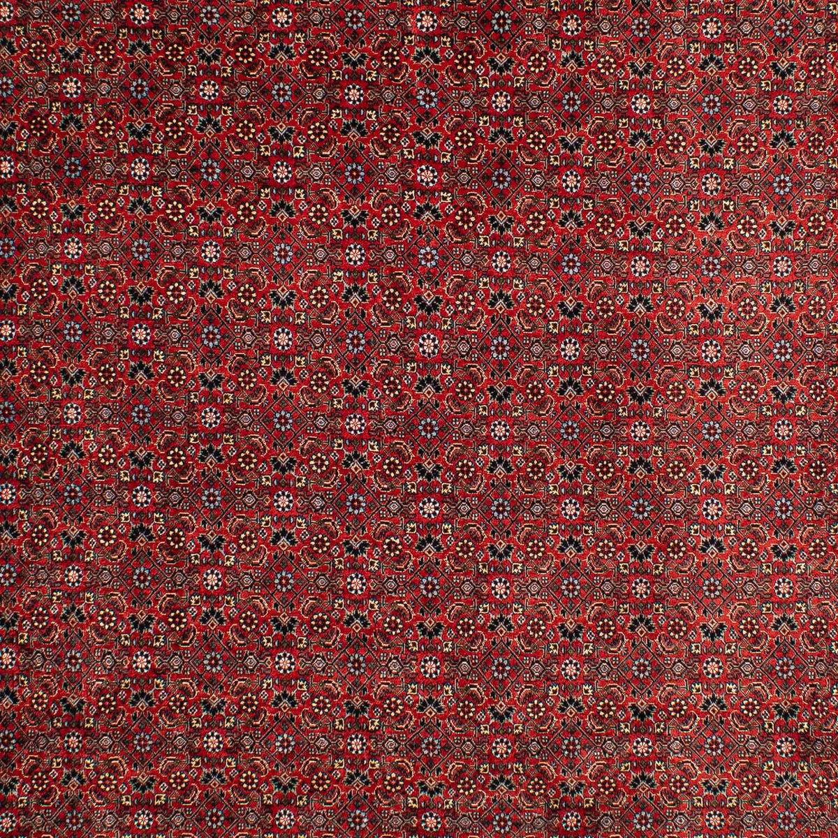 Perser Rug - Bidjar - 295 x 203 cm - dark red